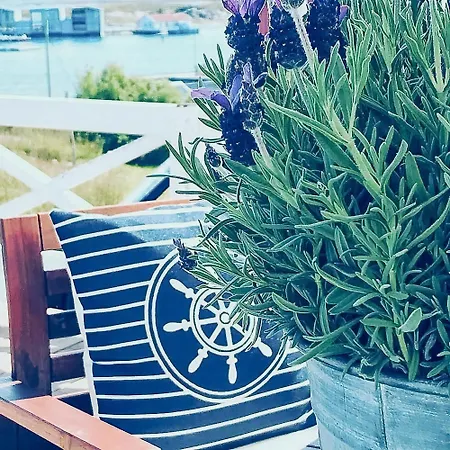 Charming Southern Norway Idyll On Trondelag Coast *